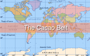 The Cacao Belt